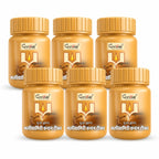 Premium Brown Chandan Tika Paste Pack of 6 (40 ml Each) | Sandalwood Tilak for Daily Puja, Mandir, Havan & Festivals | Long Lasting Fragrance